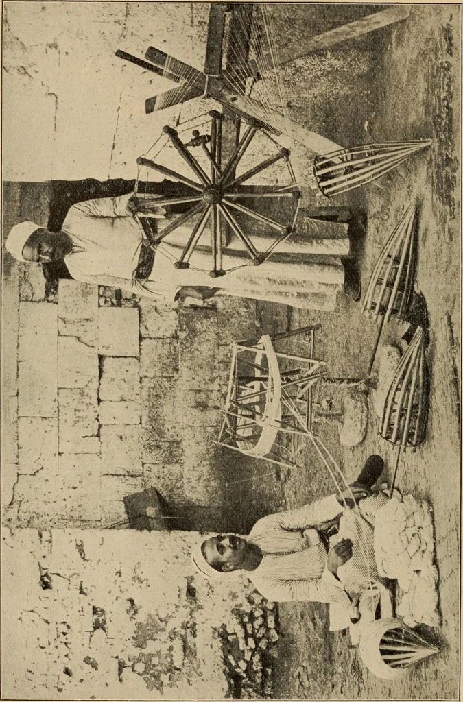An illustration from Art panels from the hand looms of the far Orient, as seen by a native rug weaver, 1902, leaf 7