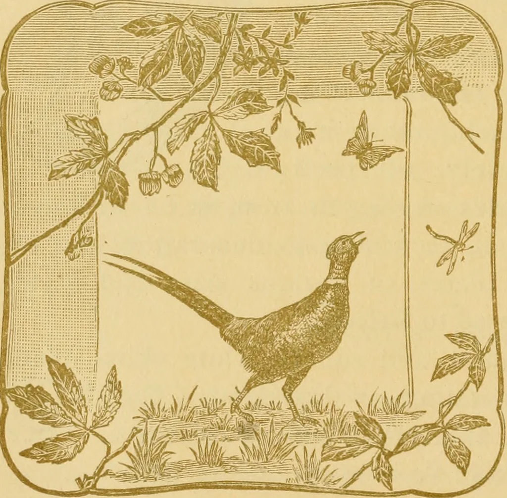 An illustration from Art potteries., 1888, leaf 35