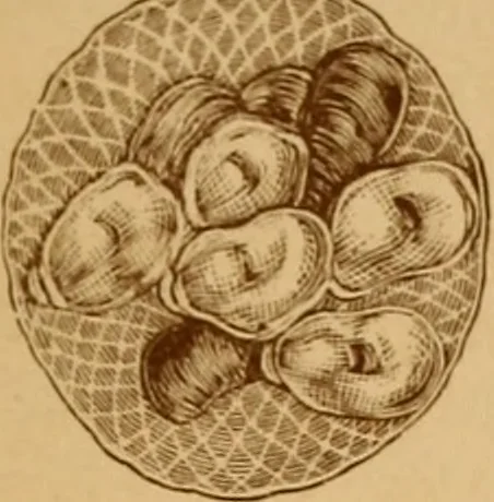 An illustration from Art potteries., 1887, leaf 16