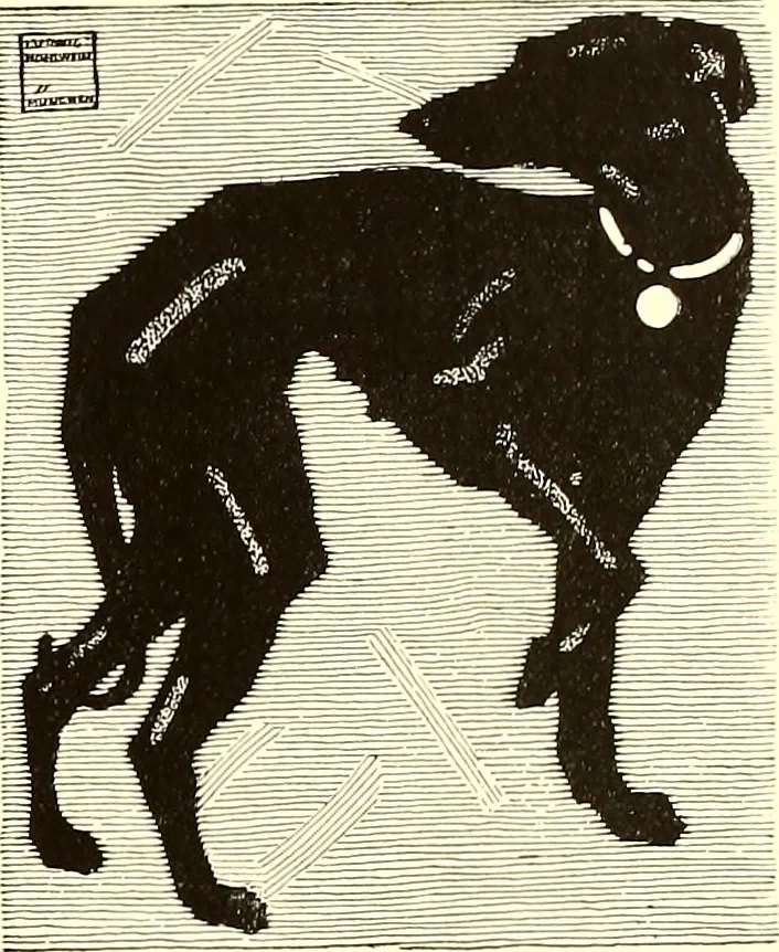 An illustration from The art & practice of typography : a manual of American printing, including a brief history up to the twentieth century, with reproductions of the work of early masters of the craft, and a practical discussion and an extensive demonstration of the modern use of type-faces and methods of arrangement, 1917, leaf 180