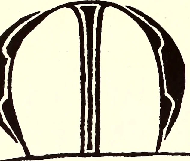 An illustration from The art & practice of typography : a manual of American printing, including a brief history up to the twentieth century, with reproductions of the work of early masters of the craft, and a practical discussion and an extensive demonstration of the modern use of type-faces and methods of arrangement, 1917, leaf 281