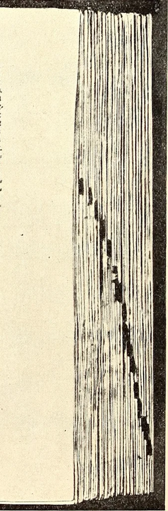 An illustration from The art & practice of typography : a manual of American printing, including a brief history up to the twentieth century, with reproductions of the work of early masters of the craft, and a practical discussion and an extensive demonstration of the modern use of type-faces and methods of arrangement, 1917, leaf 45