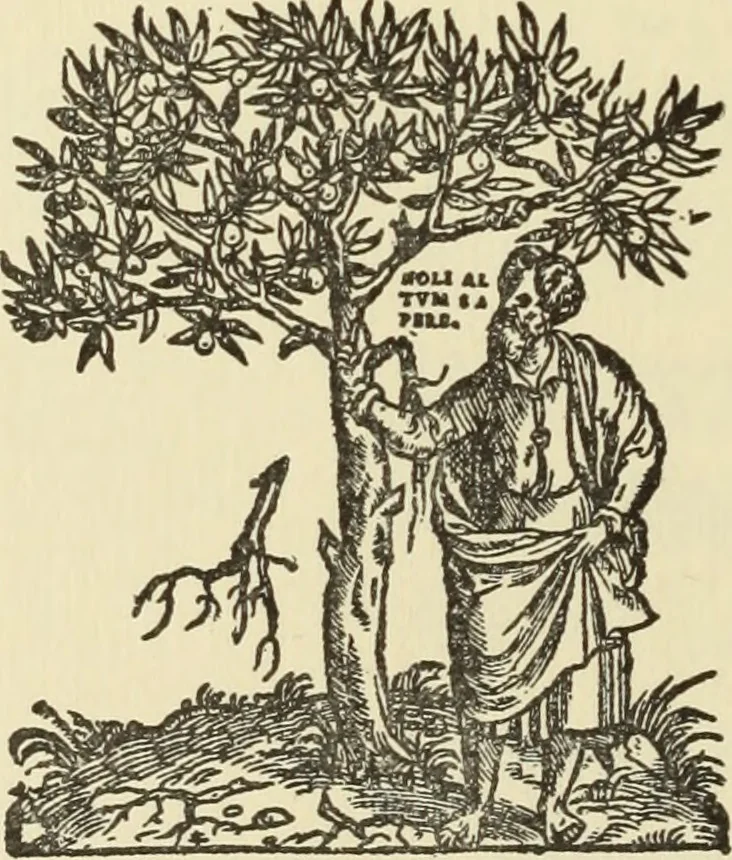 An illustration from The art & practice of typography : a manual of American printing, including a brief history up to the twentieth century, with reproductions of the work of early masters of the craft, and a practical discussion and an extensive demonstration of the modern use of type-faces and methods of arrangement, 1917, leaf 283