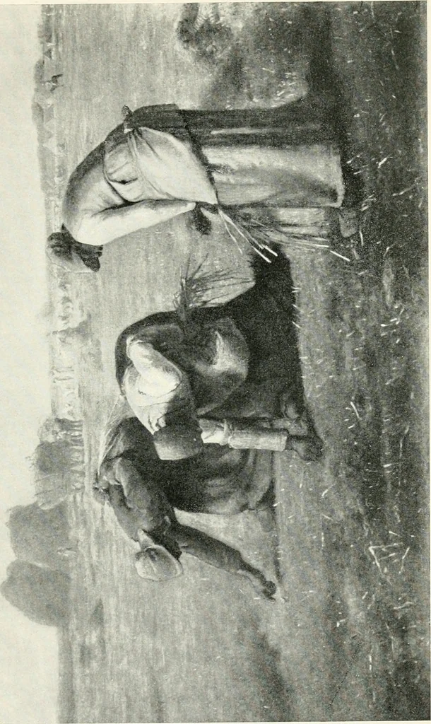 An illustration from The art reader, prepared for supplementary reading in public and private schools, with illustrations of some of the masterpieces of painting, sculpture, and architecture, 1905, leaf 220