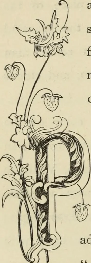 An illustration from Art recreations :, 1863, leaf 101