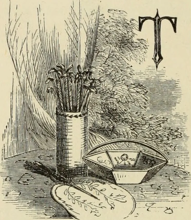An illustration from Art recreations :, 1863, leaf 237
