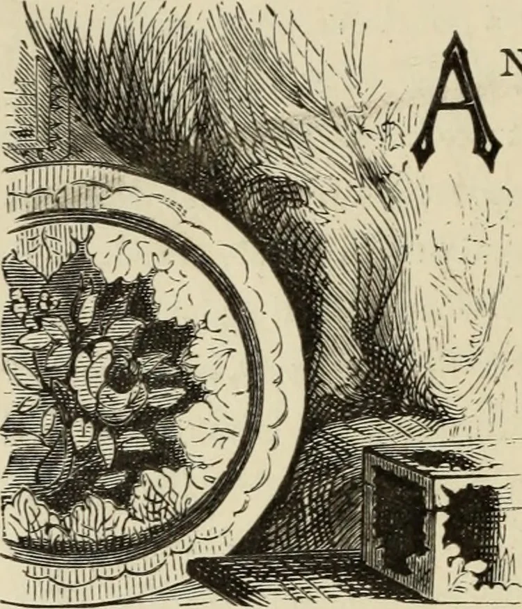 An illustration from Art recreations :, 1863, leaf 245