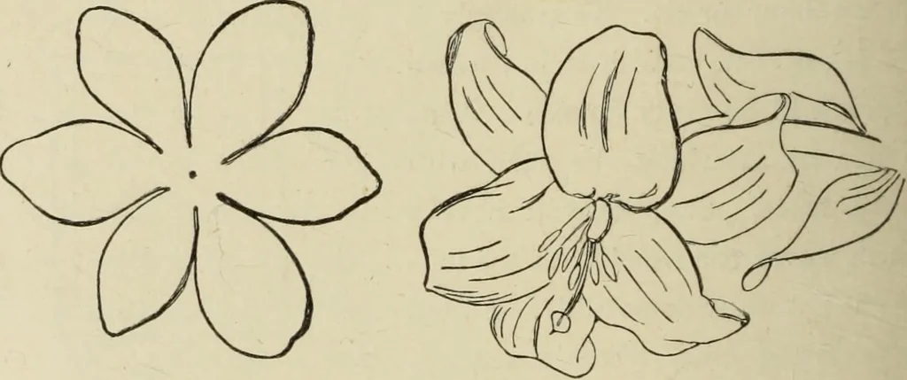 An illustration from Art recreations :, 1863, leaf 251
