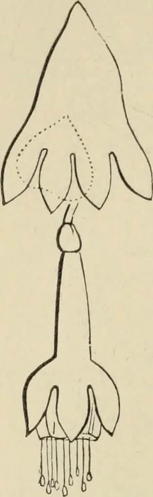An illustration from Art recreations :, 1863, leaf 253