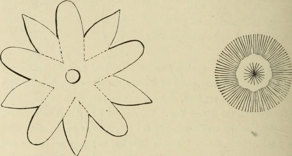 An illustration from Art recreations :, 1863, leaf 253