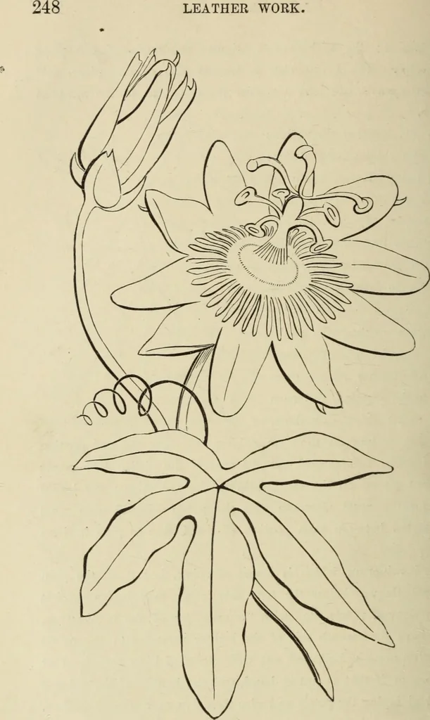 An illustration from Art recreations :, 1863, leaf 255