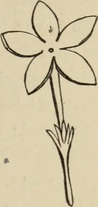 An illustration from Art recreations :, 1863, leaf 256