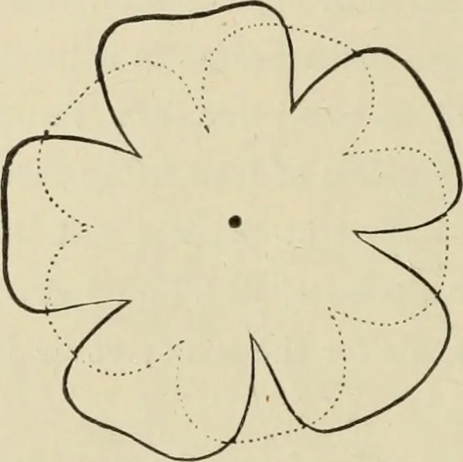An illustration from Art recreations :, 1863, leaf 257