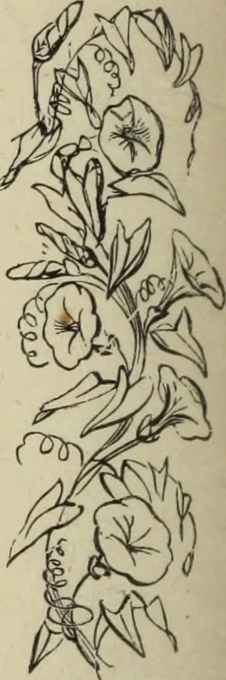An illustration from Art recreations :, 1863, leaf 261