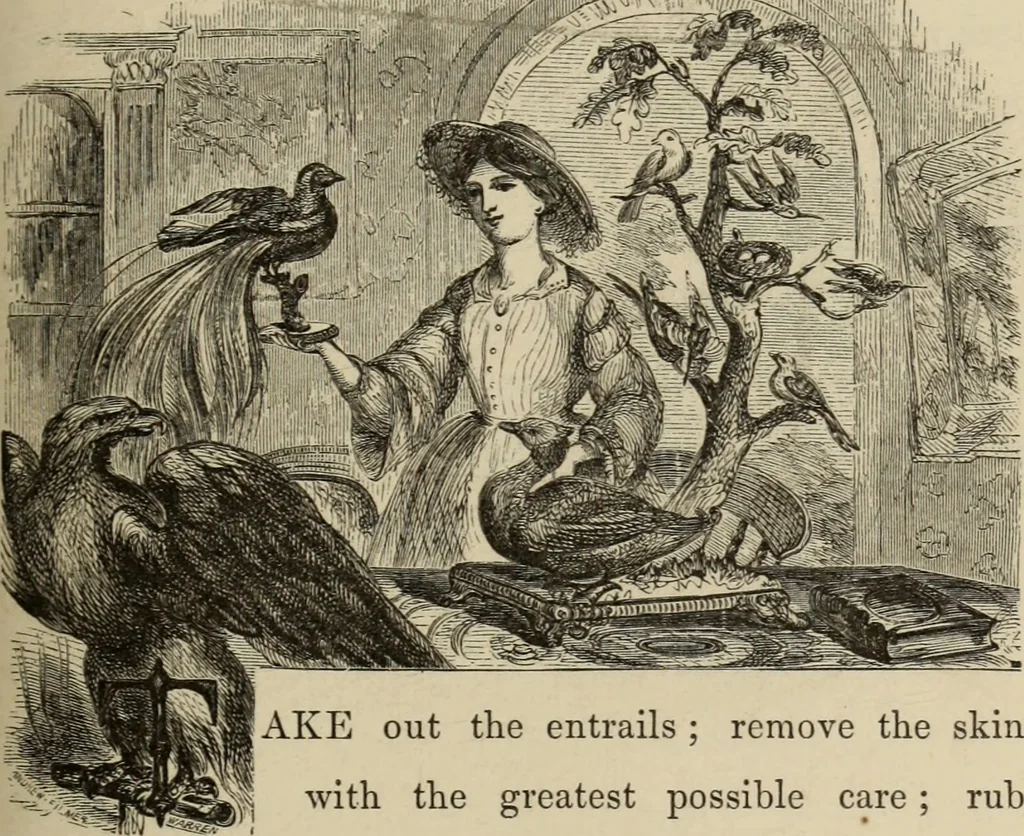 An illustration from Art recreations :, 1863, leaf 266