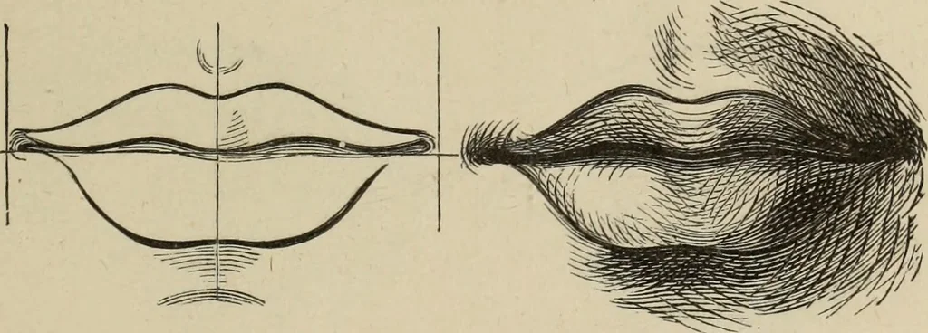An illustration from Art recreations :, 1863, leaf 28