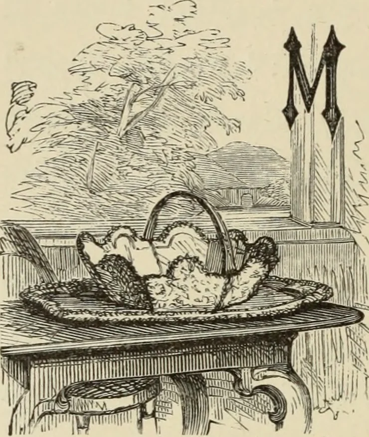 An illustration from Art recreations :, 1863, leaf 291