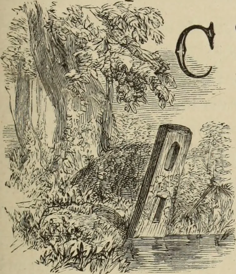 An illustration from Art recreations :, 1863, leaf 298