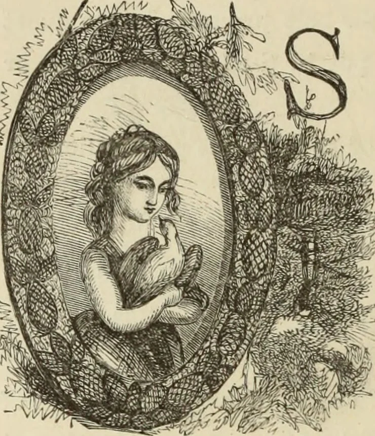 An illustration from Art recreations :, 1863, leaf 305
