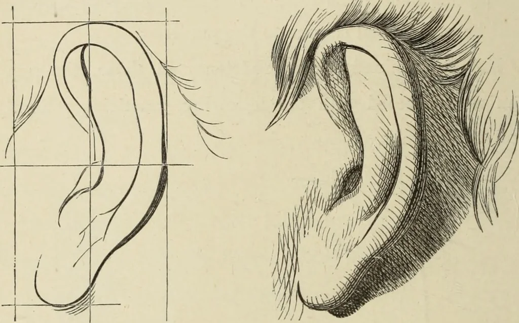 An illustration from Art recreations :, 1863, leaf 31