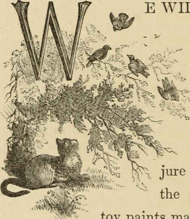 An illustration from Art recreations :, 1863, leaf 337