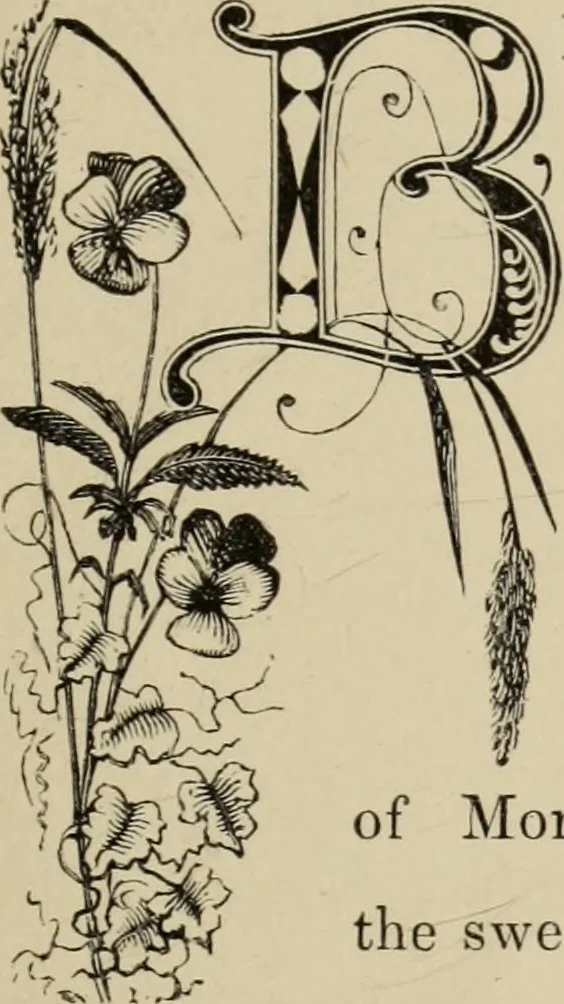 An illustration from Art recreations :, 1863, leaf 344