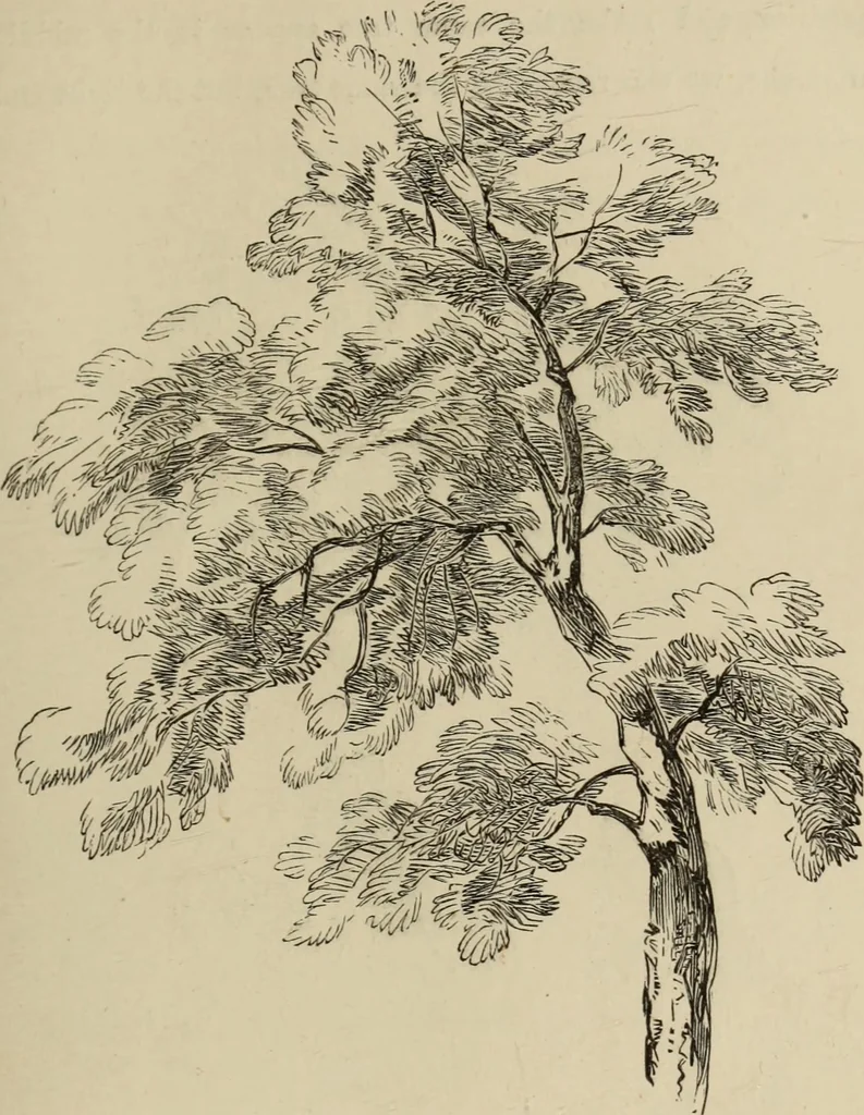 An illustration from Art recreations :, 1863, leaf 54