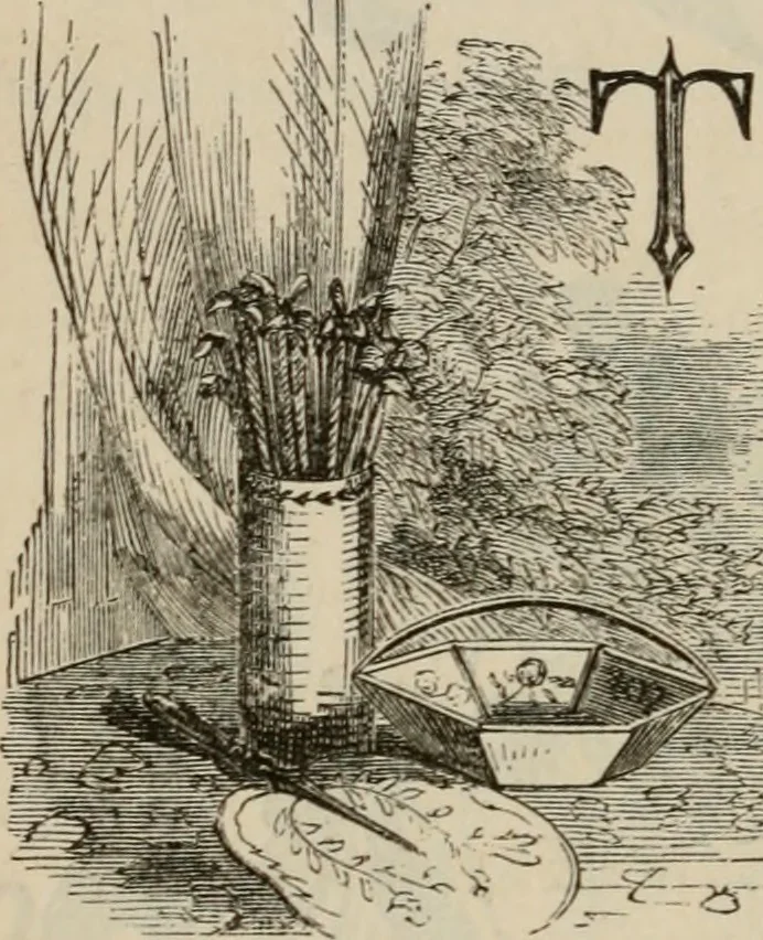 An illustration from Art recreations; being a complete guide to pencil drawing, oil painting, water-color painting, crayon drawing and painting, painting on ground glass, Grecian painting, antique painting, oriental painting, sign painting, theorem painting, ferneries, moss work, papier mache, cone work, feather flowers, potichomanie, leather work, hair work, taxidermy, gilding and bronzing, plaster work, decalcomanie, wax work, shell work, magic lantern, paper flowers, imitation of pearl, the aquqrium, sealing-wax painting, panorama painting, coloring photographs, enamel painting, etc., 1873, leaf 201