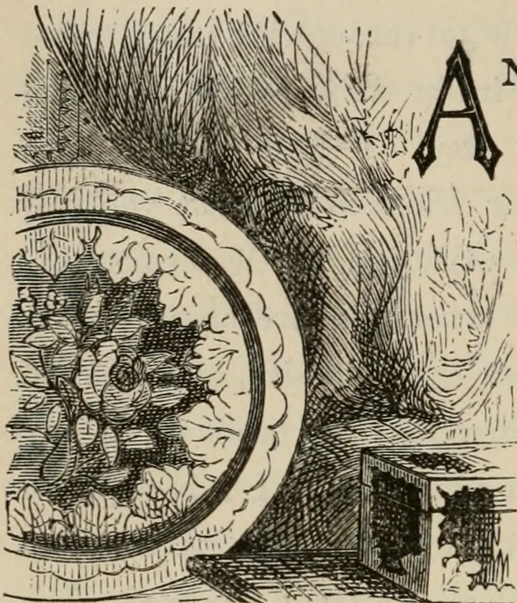 An illustration from Art recreations; being a complete guide to pencil drawing, oil painting, water-color painting, crayon drawing and painting, painting on ground glass, Grecian painting, antique painting, oriental painting, sign painting, theorem painting, ferneries, moss work, papier mache, cone work, feather flowers, potichomanie, leather work, hair work, taxidermy, gilding and bronzing, plaster work, decalcomanie, wax work, shell work, magic lantern, paper flowers, imitation of pearl, the aquqrium, sealing-wax painting, panorama painting, coloring photographs, enamel painting, etc., 1873, leaf 209