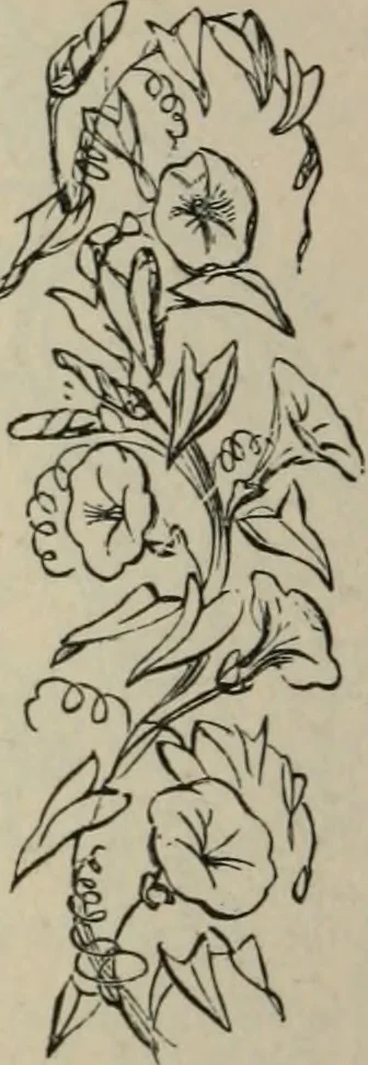 An illustration from Art recreations; being a complete guide to pencil drawing, oil painting, water-color painting, crayon drawing and painting, painting on ground glass, Grecian painting, antique painting, oriental painting, sign painting, theorem painting, ferneries, moss work, papier mache, cone work, feather flowers, potichomanie, leather work, hair work, taxidermy, gilding and bronzing, plaster work, decalcomanie, wax work, shell work, magic lantern, paper flowers, imitation of pearl, the aquqrium, sealing-wax painting, panorama painting, coloring photographs, enamel painting, etc., 1873, leaf 225