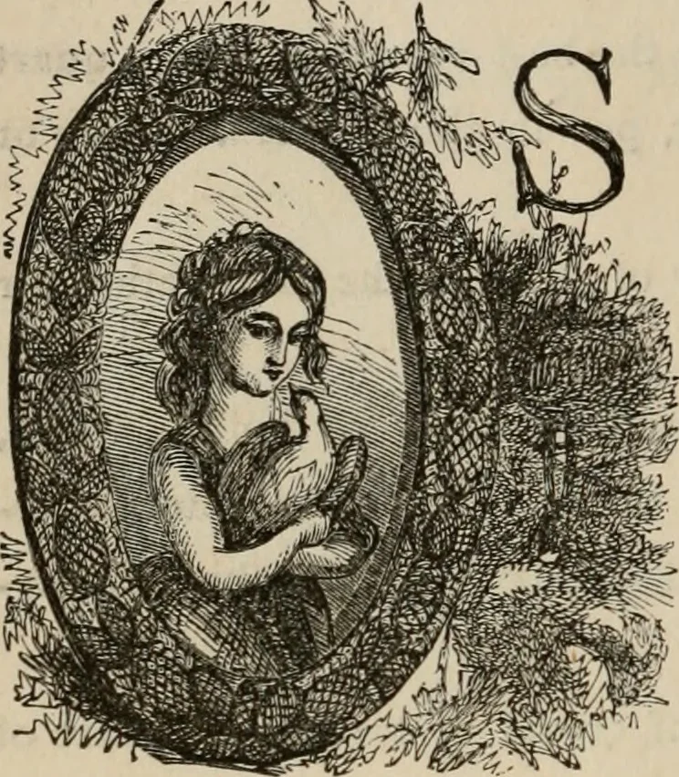 An illustration from Art recreations; being a complete guide to pencil drawing, oil painting, water-color painting, crayon drawing and painting, painting on ground glass, Grecian painting, antique painting, oriental painting, sign painting, theorem painting, ferneries, moss work, papier mache, cone work, feather flowers, potichomanie, leather work, hair work, taxidermy, gilding and bronzing, plaster work, decalcomanie, wax work, shell work, magic lantern, paper flowers, imitation of pearl, the aquqrium, sealing-wax painting, panorama painting, coloring photographs, enamel painting, etc., 1873, leaf 269