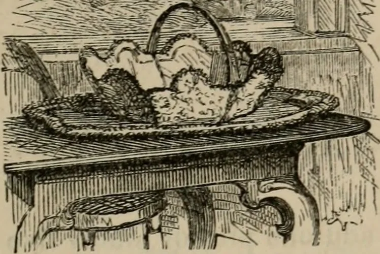 An illustration from Art recreations; being a complete guide to pencil drawing, oil painting, water-color painting, crayon drawing and painting, painting on ground glass, Grecian painting, antique painting, oriental painting, sign painting, theorem painting, ferneries, moss work, papier mache, cone work, feather flowers, potichomanie, leather work, hair work, taxidermy, gilding and bronzing, plaster work, decalcomanie, wax work, shell work, magic lantern, paper flowers, imitation of pearl, the aquqrium, sealing-wax painting, panorama painting, coloring photographs, enamel painting, etc., 1873, leaf 328