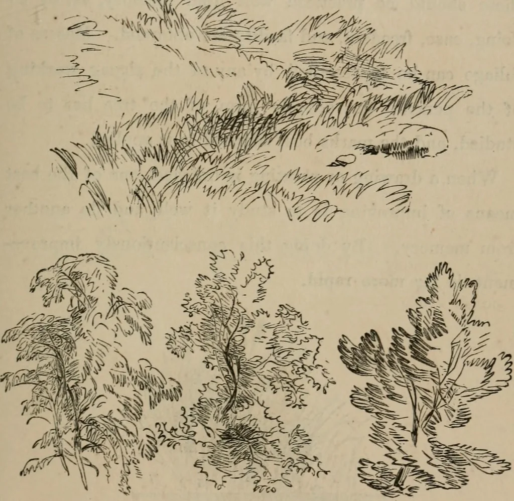 An illustration from Art recreations; being a complete guide to pencil drawing, oil painting, water-color painting, crayon drawing and painting, painting on ground glass, Grecian painting, antique painting, oriental painting, sign painting, theorem painting, ferneries, moss work, papier mache, cone work, feather flowers, potichomanie, leather work, hair work, taxidermy, gilding and bronzing, plaster work, decalcomanie, wax work, shell work, magic lantern, paper flowers, imitation of pearl, the aquqrium, sealing-wax painting, panorama painting, coloring photographs, enamel painting, etc., 1873, leaf 52