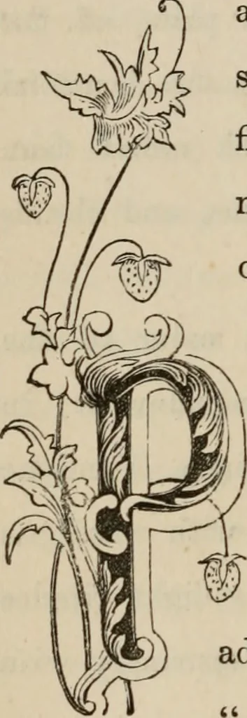 An illustration from Art recreations; being a complete guide to pencil drawing, oil painting, water-color painting, crayon drawing and painting, painting on ground glass, Grecian painting, antique painting, oriental painting, sign painting, theorem painting, ferneries, moss work, papier mache, cone work, feather flowers, potichomanie, leather work, hair work, taxidermy, gilding and bronzing, plaster work, decalcomanie, wax work, shell work, magic lantern, paper flowers, imitation of pearl, the aquqrium, sealing-wax painting, panorama painting, coloring photographs, enamel painting, etc., 1873, leaf 97