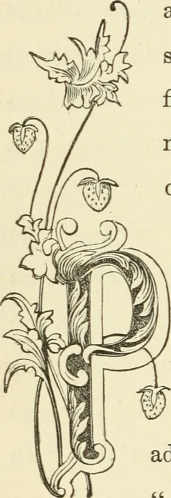 An illustration from Art recreations : being a complete guide to pencil drawing, oil painting ... moss work, papier mache...wax work, shell work...enamel painting, etc., 1871, leaf 101