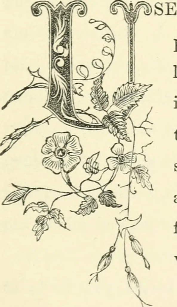 An illustration from Art recreations : being a complete guide to pencil drawing, oil painting ... moss work, papier mache...wax work, shell work...enamel painting, etc., 1871, leaf 158