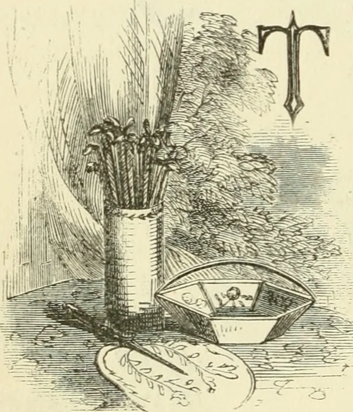 An illustration from Art recreations : being a complete guide to pencil drawing, oil painting ... moss work, papier mache...wax work, shell work...enamel painting, etc., 1871, leaf 237