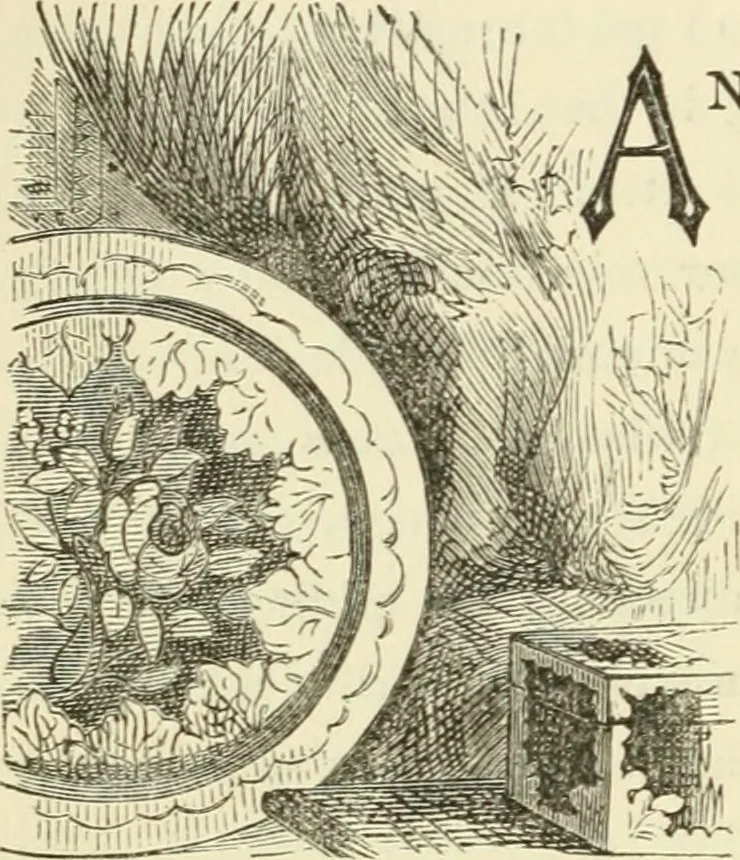 An illustration from Art recreations : being a complete guide to pencil drawing, oil painting ... moss work, papier mache...wax work, shell work...enamel painting, etc., 1871, leaf 245