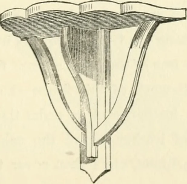 An illustration from Art recreations : being a complete guide to pencil drawing, oil painting ... moss work, papier mache...wax work, shell work...enamel painting, etc., 1871, leaf 258