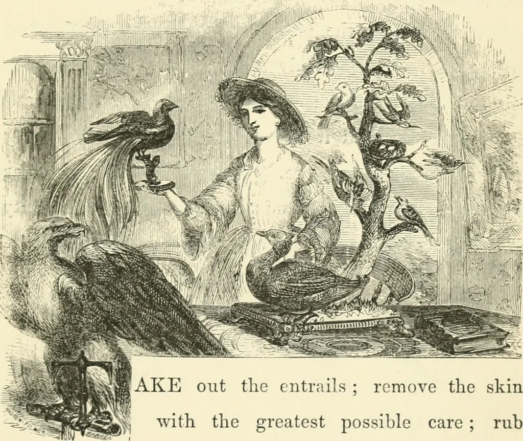 An illustration from Art recreations : being a complete guide to pencil drawing, oil painting ... moss work, papier mache...wax work, shell work...enamel painting, etc., 1871, leaf 266