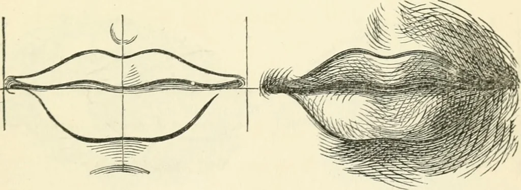 An illustration from Art recreations : being a complete guide to pencil drawing, oil painting ... moss work, papier mache...wax work, shell work...enamel painting, etc., 1871, leaf 28