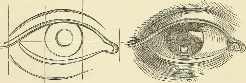 An illustration from Art recreations : being a complete guide to pencil drawing, oil painting ... moss work, papier mache...wax work, shell work...enamel painting, etc., 1871, leaf 29