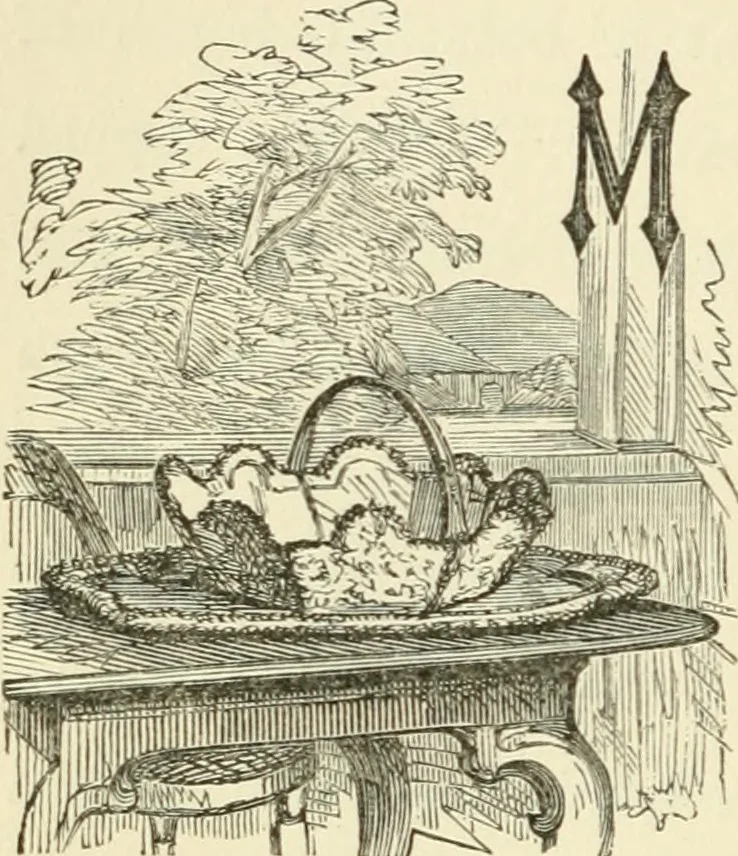 An illustration from Art recreations : being a complete guide to pencil drawing, oil painting ... moss work, papier mache...wax work, shell work...enamel painting, etc., 1871, leaf 291