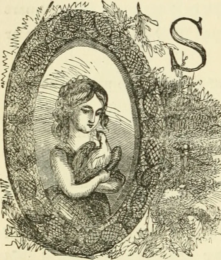An illustration from Art recreations : being a complete guide to pencil drawing, oil painting ... moss work, papier mache...wax work, shell work...enamel painting, etc., 1871, leaf 305
