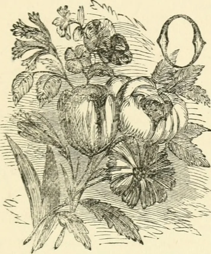 An illustration from Art recreations : being a complete guide to pencil drawing, oil painting ... moss work, papier mache...wax work, shell work...enamel painting, etc., 1871, leaf 310