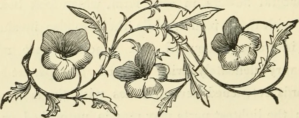 An illustration from Art recreations : being a complete guide to pencil drawing, oil painting ... moss work, papier mache...wax work, shell work...enamel painting, etc., 1871, leaf 343
