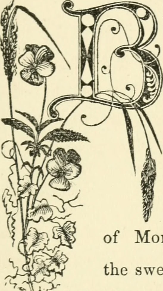 An illustration from Art recreations : being a complete guide to pencil drawing, oil painting ... moss work, papier mache...wax work, shell work...enamel painting, etc., 1871, leaf 344