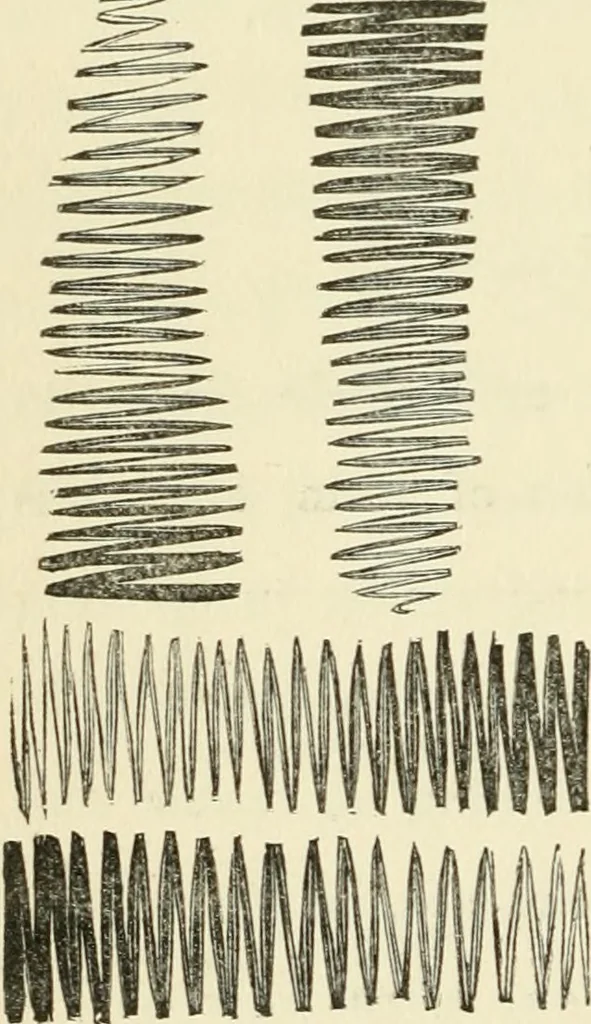 An illustration from Art recreations : being a complete guide to pencil drawing, oil painting ... moss work, papier mache...wax work, shell work...enamel painting, etc., 1871, leaf 35