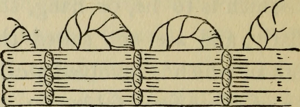 An illustration from Arts and crafts essays, 1903, leaf 421