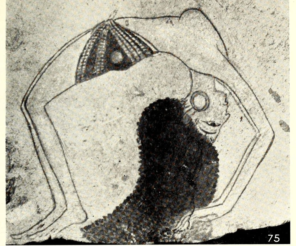 An illustration from The arts and crafts of ancient Egypt, 1910, leaf 125